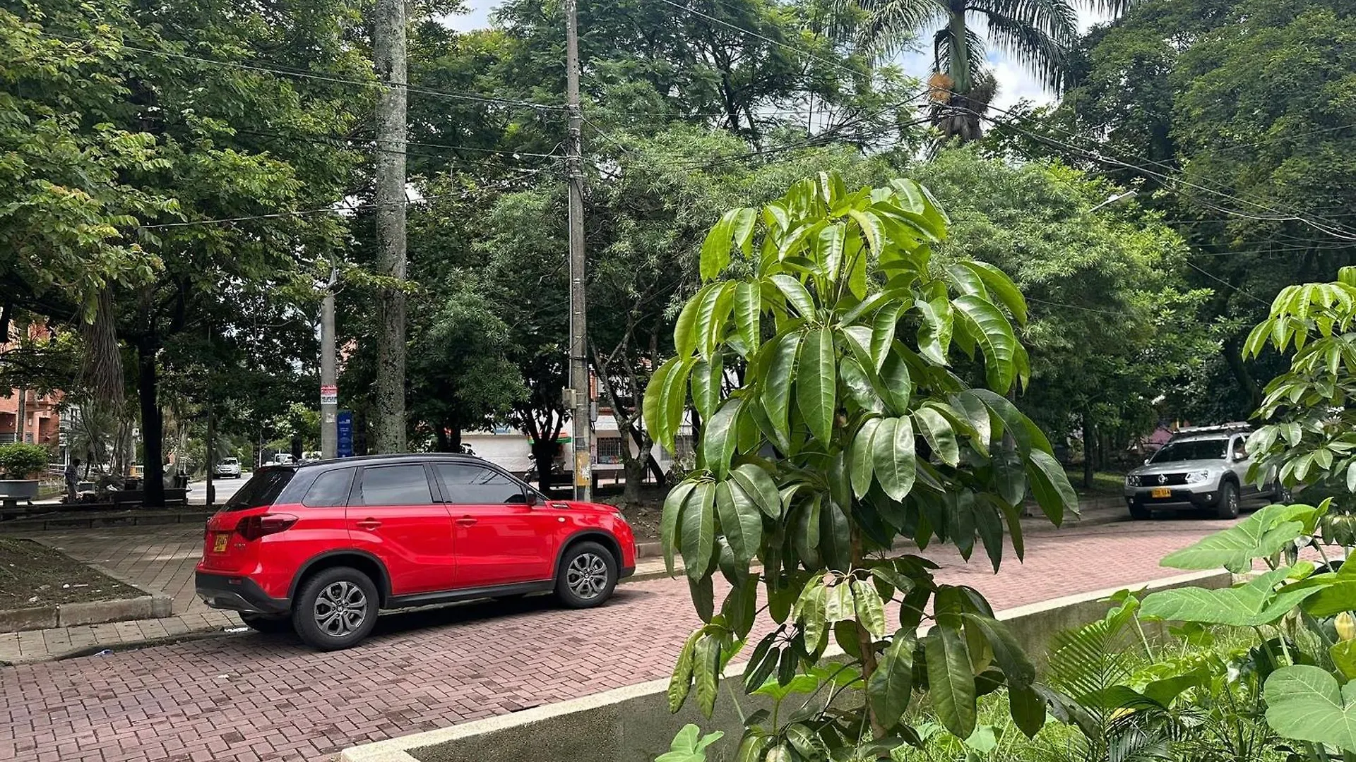 Apartamentos Y Loft En Zona Rosa De Laureles Medellin
