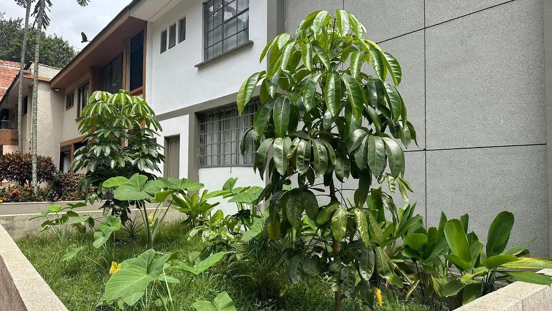 Apartamentos Y Loft En Zona Rosa De Laureles Medellin Apartment