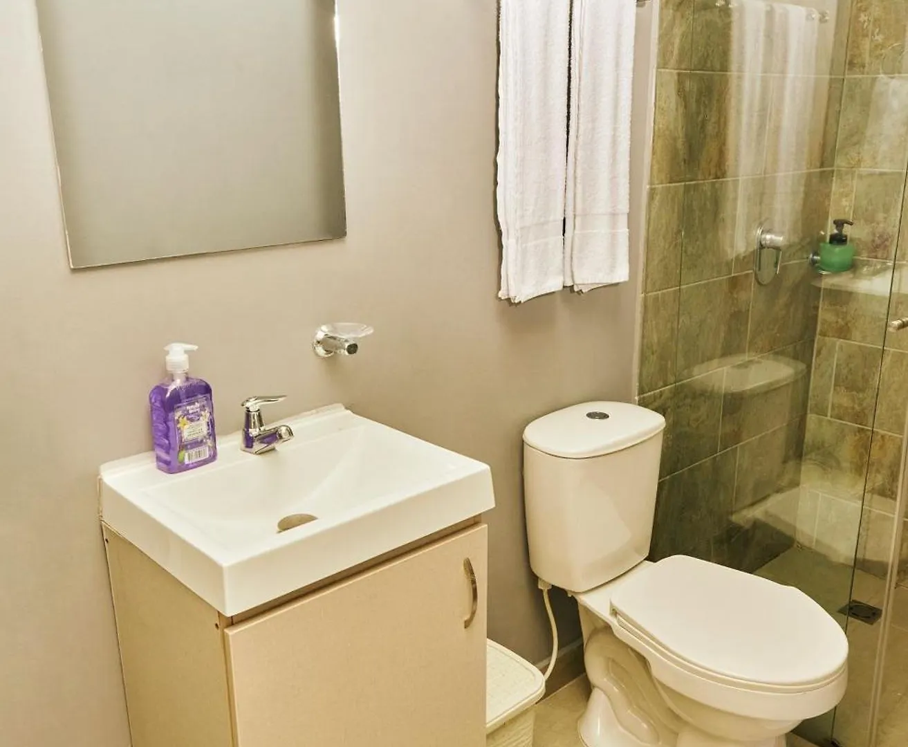 Apartamentos Y Loft En Zona Rosa De Laureles Medellin